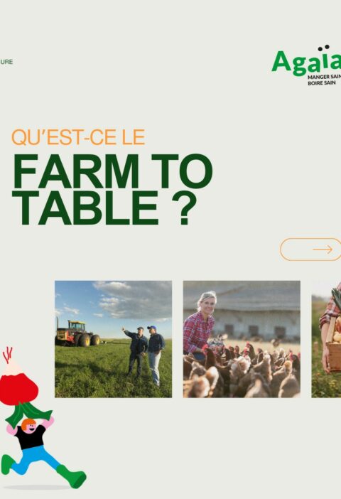 Farm to table